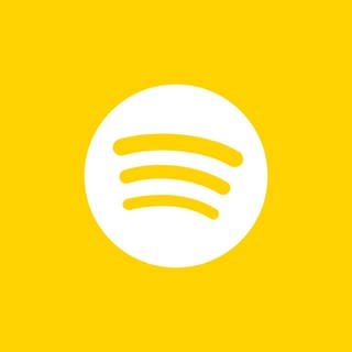 SWR1 Icons Social Media Spotify
