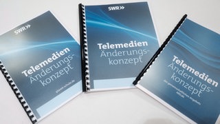 Telemedienänderungskonzepte zu planet-schule.de, SWR Telemedien und ARD.de