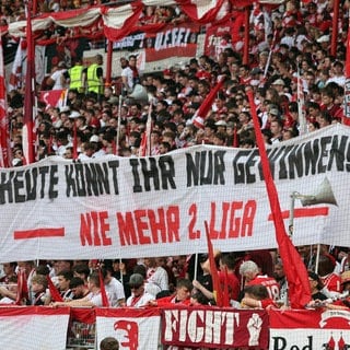 Über die Jahre hat sich der SC Freiburg in der Bundesliga etabliert.