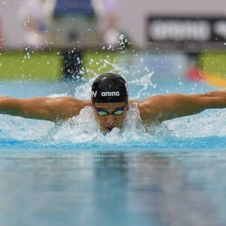 Schwimmer