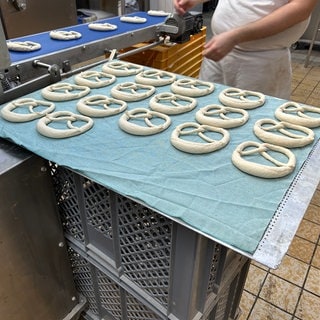 Brezel-Rohlinge auf einem Backbleck. Auch am Sonntag oder am Feiertag backen Bäcker Felix Gosch und sein Team frische Brötchen.