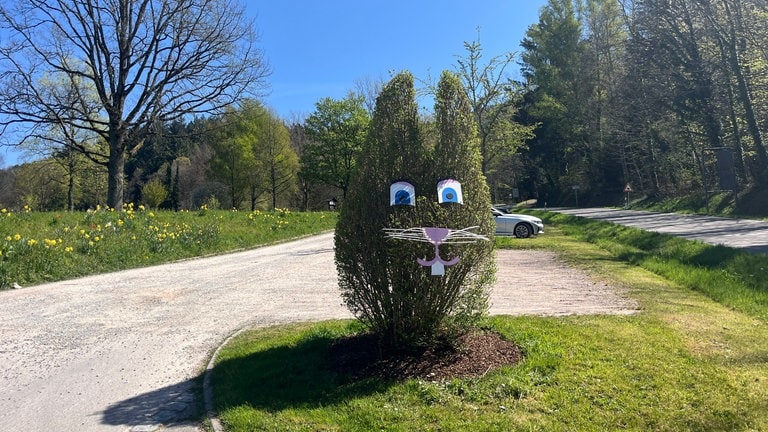 Ein grüner Strauch - verziert mit Augen und Schnurrhaaren aus Pappe: Und schon ist ein Osterhase da. (Foto: SWR, Stefan Schlegel) Ein grüner Strauch - verziert mit Augen und Schnurrhaaren aus Pappe: Und schon ist ein Osterhase da.