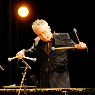 Jazz-Vibraphonist Christopher Dell beim 24. JOE-Festival in Essen 2020