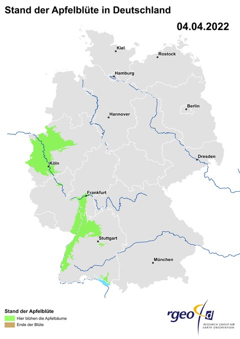 Ausbreitung der Apfelblüte in Deutschland am 4. April 2022, berechnet aus den eingesandten Beobachtungen. (Foto: SWR) Ausbreitung der Apfelblüte in Deutschland am 4. April 2022, berechnet aus den eingesandten Beobachtungen.